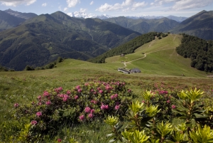 Verde Paesaggio Monte Cerchio
