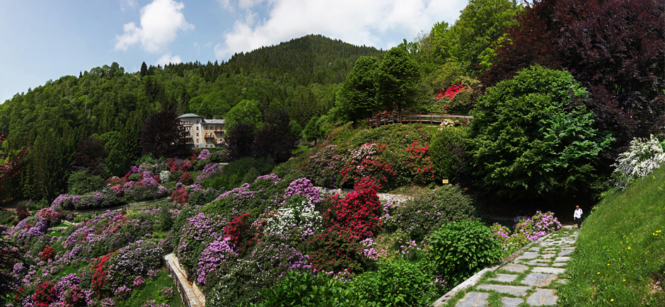 Fioritura conca con Baso