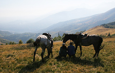 Équitation