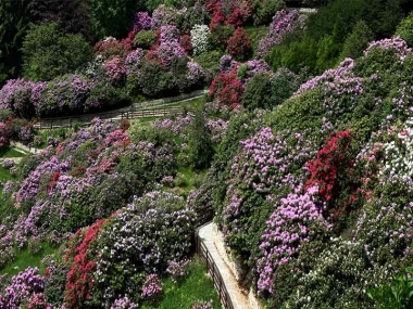 Oasi Zegna - Fioritura e Foliage