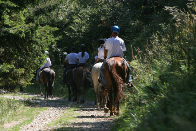 cavallo_OZ