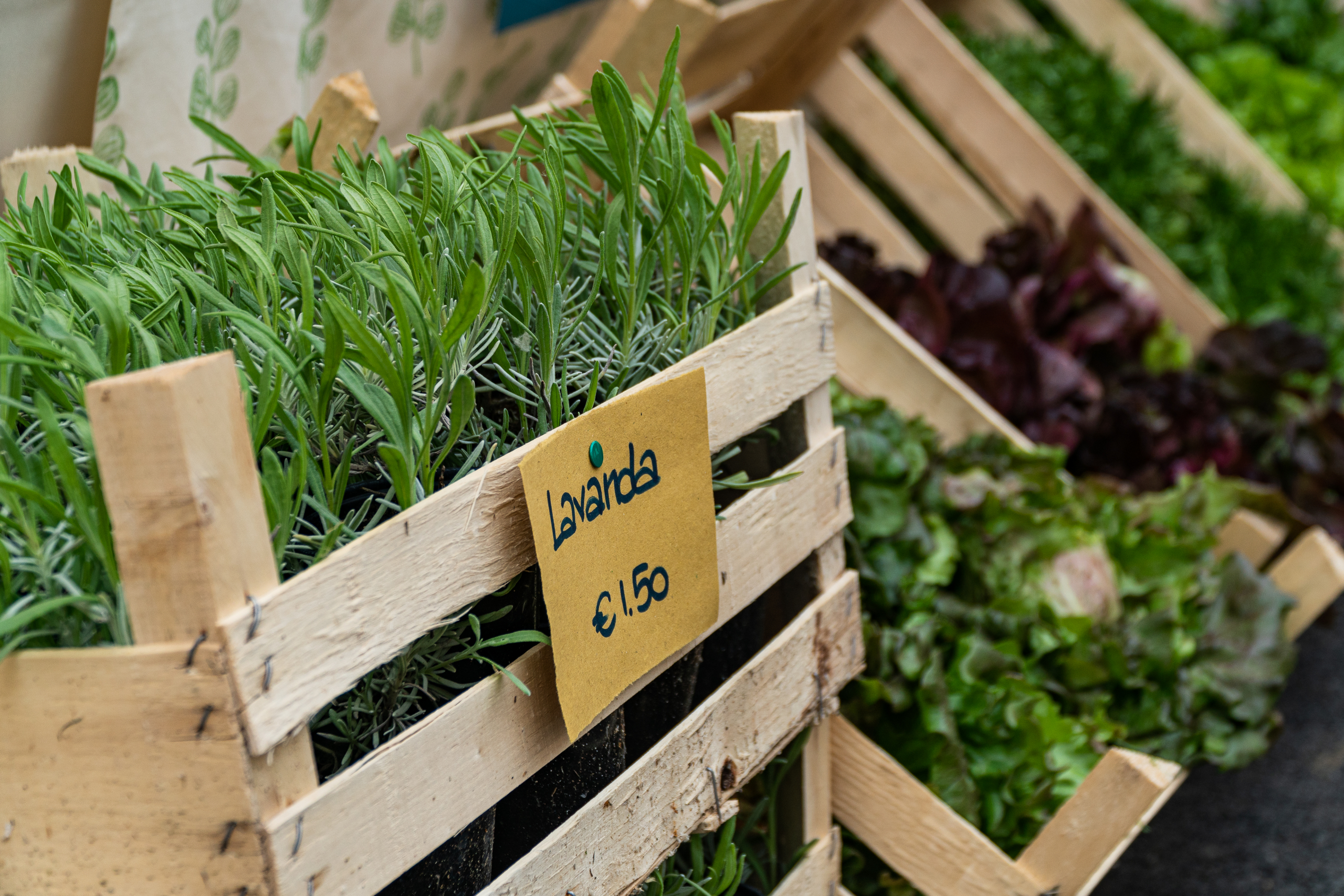 mercatino cascina il faggio