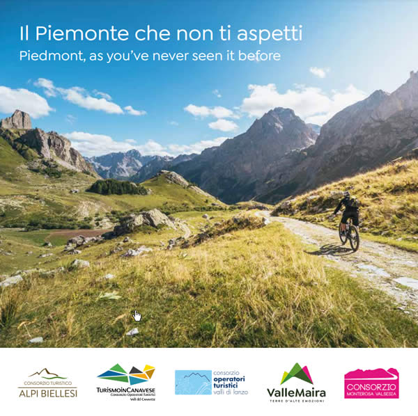 Brochure Consorzi