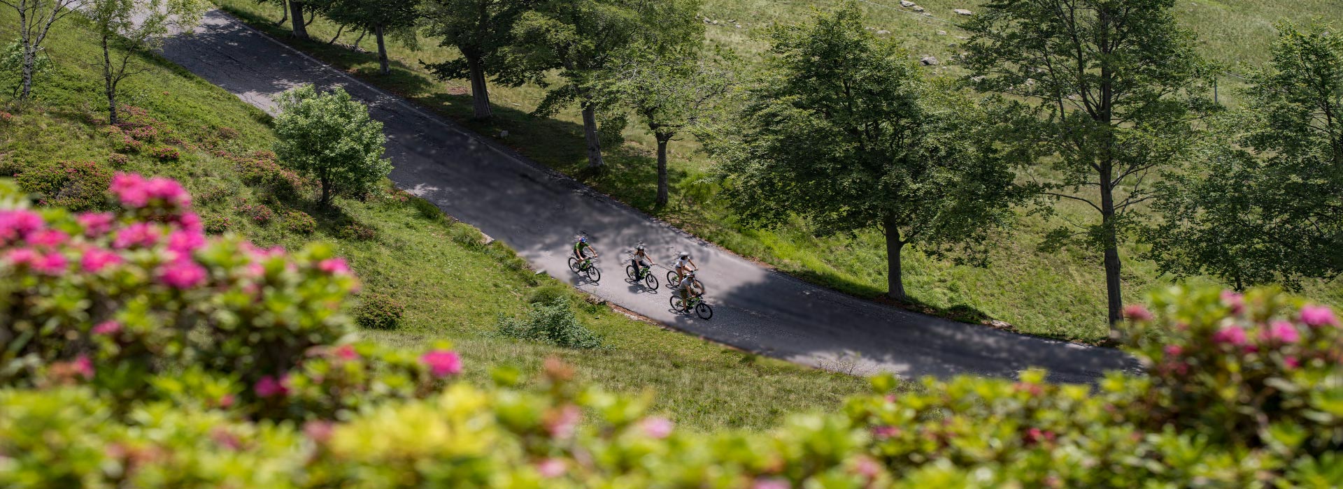 Copertina-esperienze-BiciStrada bici su strada