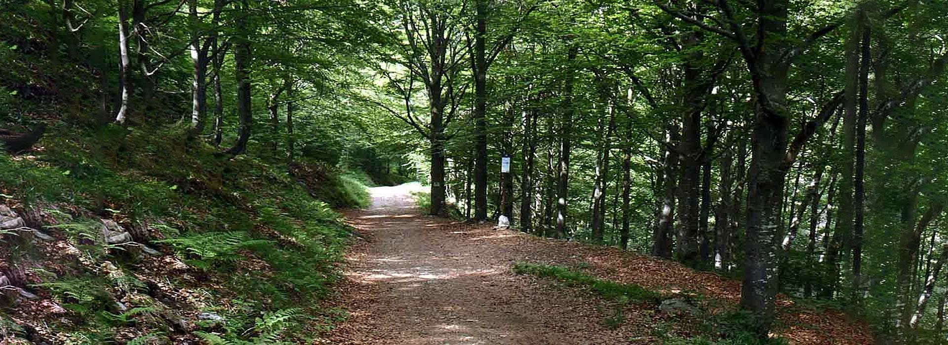 Il Bosco del Sorriso