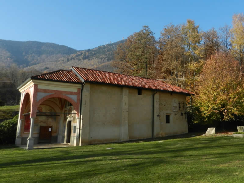 Articolo2026FedeNatura-Brughiera2