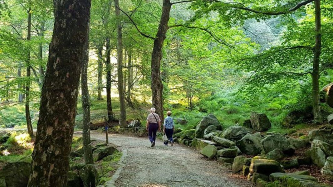 OropaPasseggiataPretiVerde 1 1067 x 600